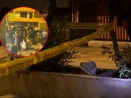 Lo matan entre siete en San Martín de Porres Lo matan entre siete en San Martín de Porres