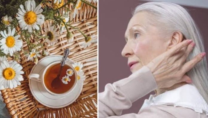 Manzanilla y cúrcuma eliminan canas Manzanilla y cúrcuma eliminan canas