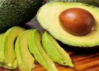 Palta