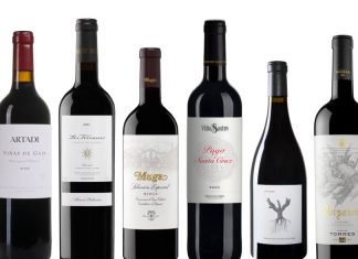 Vinos tintos más usados en cocina