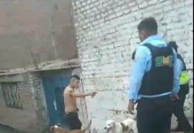 Ojos vigilantes de Municipalidad de SMP permiten la captura de violento sujeto que amenazaba con filudo cuchillo a transeúntes