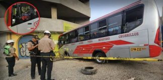 Denuncian 214 atentados a ferchos en menos de dos años