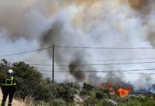 Incendios forestales en Europa
