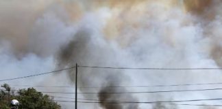Incendios forestales en Europa