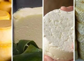 Quesos frescos más usados en cocina Quesos frescos