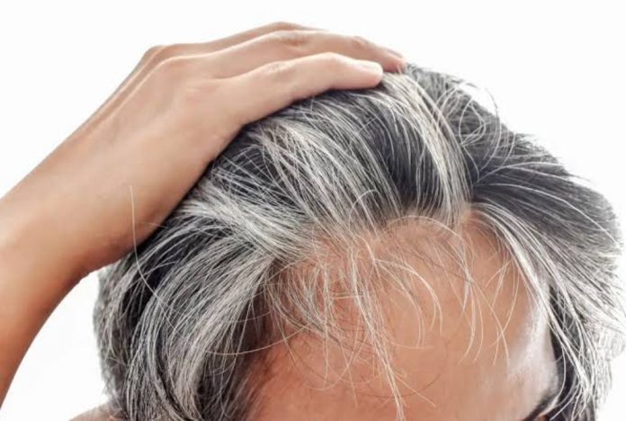 canas canas