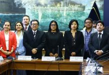 Catherin Palomino fue elegida por unanimidad como presidenta de la Comisión de Justicia y Derechos Humanos de la Cámara de Diputados