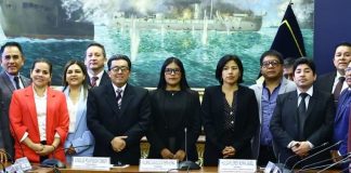 ‘Amiga’ de Castillo en Comisión de Justicia Catherin Palomino fue elegida por unanimidad como presidenta de la Comisión de Justicia y Derechos Humanos de la Cámara de Diputados