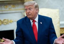 Trump niega visa a embajadora de Brasil Donald Trump