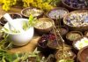 Hierbas andinas más usadas en la cocina Hierbas andinas