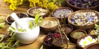 Hierbas andinas más usadas en la cocina Hierbas andinas