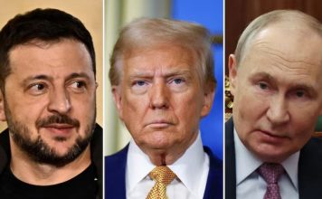 Solo se reunirán para firmar paz Presidentes de Rusia, Vladimir Putin; Estados Unidos, Donald Trump y Ucrania, Volodymyr Zelensky