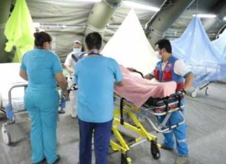 Reportan 4 mil casos de dengue en Lima