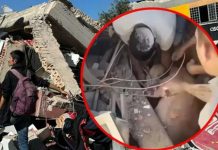 Rescataron a bebé tras sismo de 7.4 en Colombia