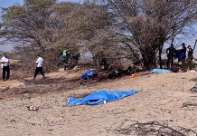 avioneta turística se estrella y deja 13 muertos sobre las Líneas de Nazca