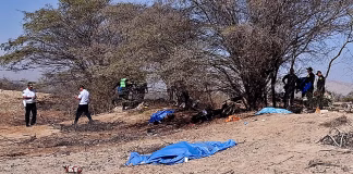 avioneta turística se estrella y deja 13 muertos sobre las Líneas de Nazca