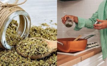 Usos del orégano en la cocina orégano