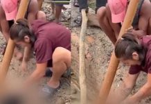 ‘Buitres’ roban en Nepal ‘Buitres’ roban en Nepal