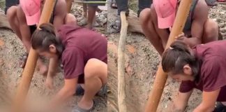 ‘Buitres’ roban en Nepal ‘Buitres’ roban en Nepal