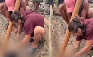 ‘Buitres’ roban en Nepal ‘Buitres’ roban en Nepal