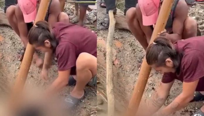 ‘Buitres’ roban en Nepal