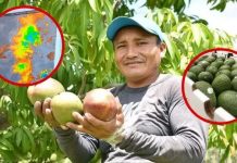 ‘Niño’ afecta a Lambayeque