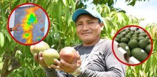 ‘Niño’ afecta a Lambayeque