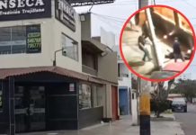 Asesinan a balazos a hermano de alcalde de Pataz Asesinan a balazos a hermano de alcalde de Pataz