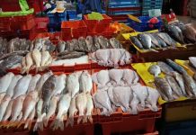 Comerciantes alertan de escasez de pescado Comerciantes alertan de escasez de pescado