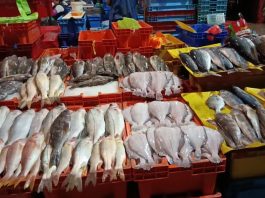Comerciantes alertan de escasez de pescado