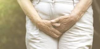Fisioterapia del suelo pélvico