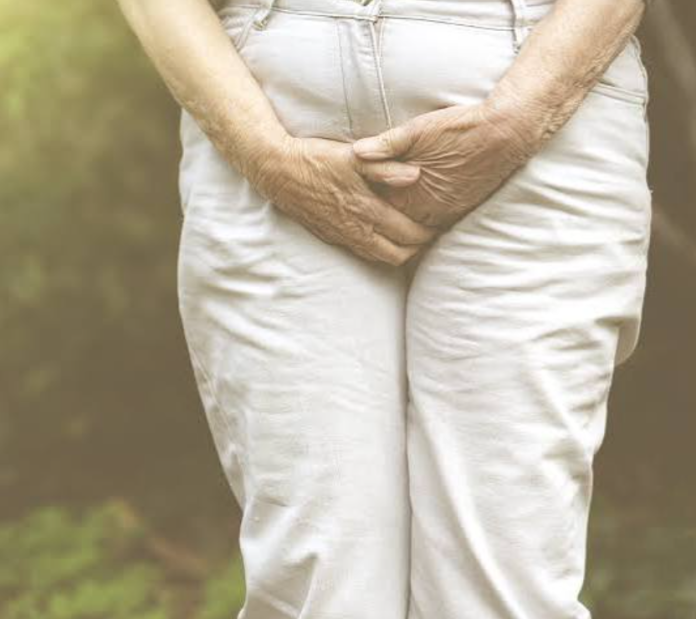 Fisioterapia del suelo pélvico