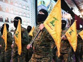 Hezbolá
