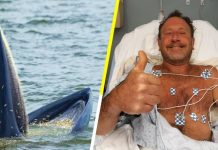 Michael Packard fue tragado por una ballena y vivió