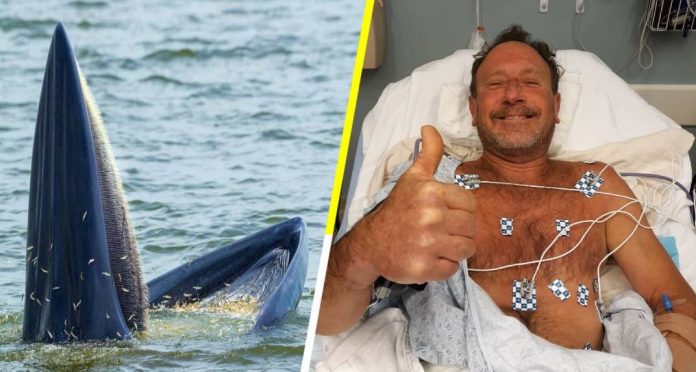 Michael Packard fue tragado por una ballena y vivió