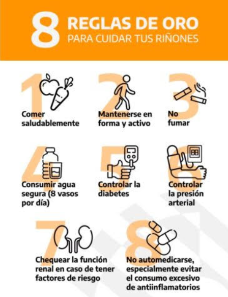 Reglas de oro para cuidar los riñones