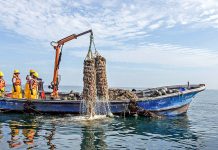 PRODUCE fortalece la pesca y acuicultura formal con más de 1,300 habilitaciones sanitarias en seis meses