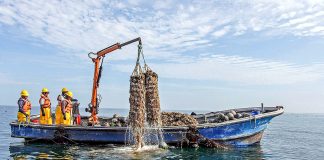 PRODUCE fortalece la pesca y acuicultura formal con más de 1,300 habilitaciones sanitarias en seis meses
