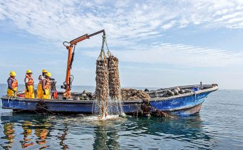 PRODUCE fortalece la pesca y acuicultura formal con más de 1,300 habilitaciones sanitarias en seis meses
