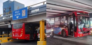 Bus queda atorado en puente en La Marina