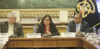 Constitución da luz verde a facultades del Ejecutivo