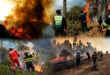 Incendios forestales