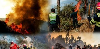 Incendios forestales