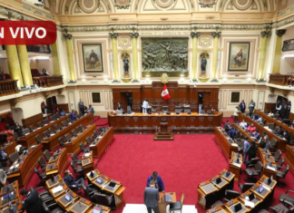 Pleno de la Cámara de Diputados